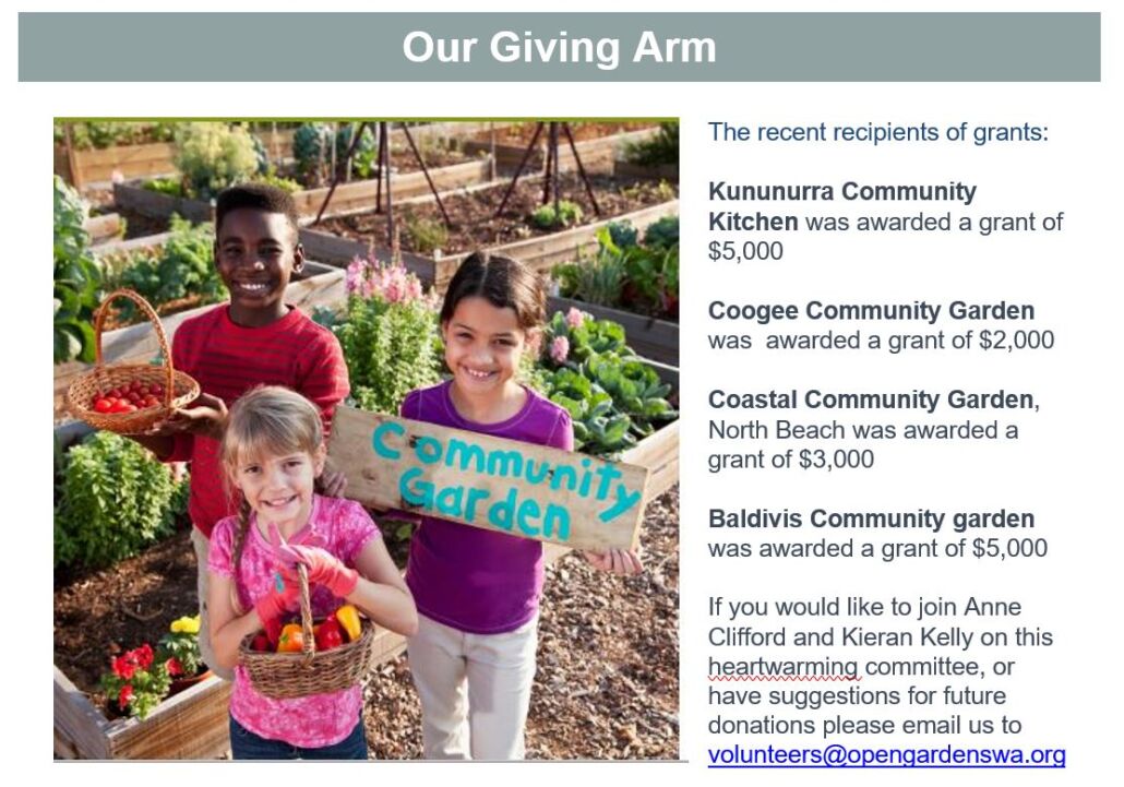 Newsletter feature