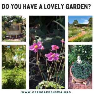 open your garden 1